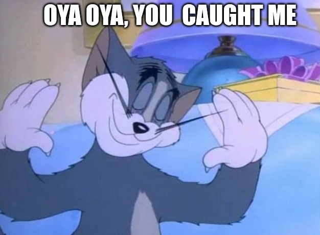 you-caught-me-Imgflip